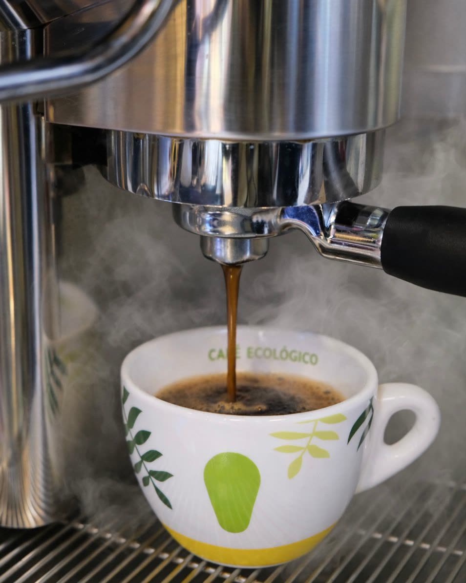 Café ecológico